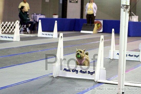 MCRD Unplugged Flyball Tournement<br />March 21st, 2010