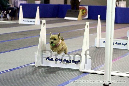 MCRD Unplugged Flyball Tournement<br />March 21st, 2010