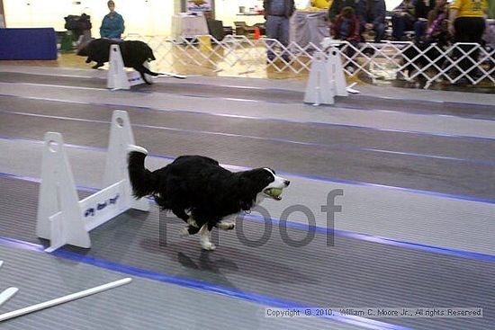 MCRD Unplugged Flyball Tournement<br />March 21st, 2010