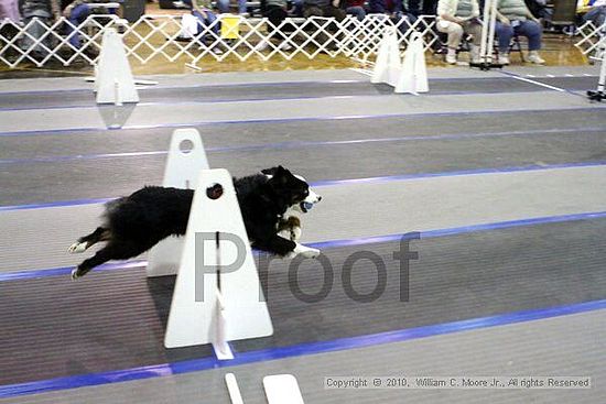 MCRD Unplugged Flyball Tournement<br />March 21st, 2010