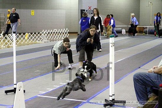 MCRD Unplugged Flyball Tournement<br />March 21st, 2010