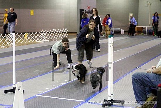 MCRD Unplugged Flyball Tournement<br />March 21st, 2010