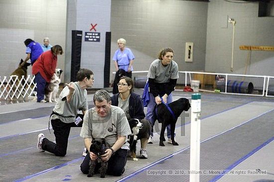 MCRD Unplugged Flyball Tournement<br />March 21st, 2010