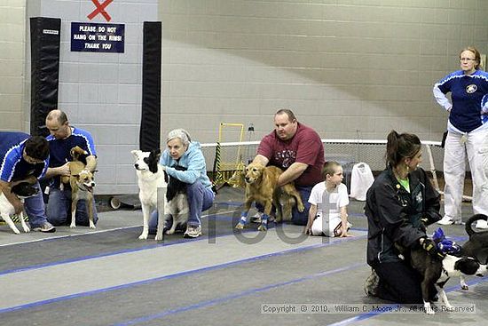 MCRD Unplugged Flyball Tournement<br />March 21st, 2010