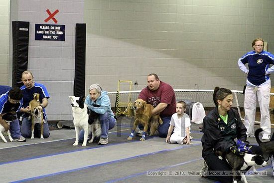 MCRD Unplugged Flyball Tournement<br />March 21st, 2010