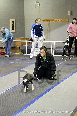 MCRD Unplugged Flyball Tournement<br />March 21st, 2010