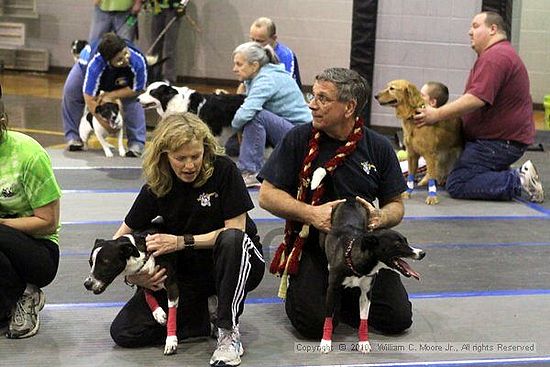 MCRD Unplugged Flyball Tournement<br />March 21st, 2010