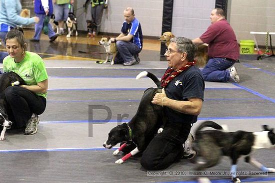 MCRD Unplugged Flyball Tournement<br />March 21st, 2010