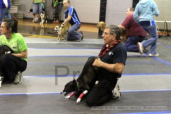 MCRD Unplugged Flyball Tournement<br />March 21st, 2010