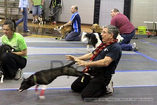 MCRD Unplugged Flyball Tournement<br />March 21st, 2010