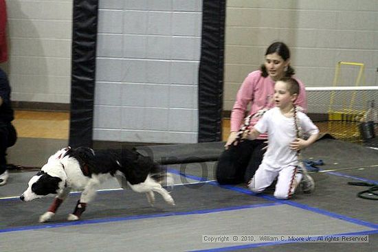 MCRD Unplugged Flyball Tournement<br />March 21st, 2010