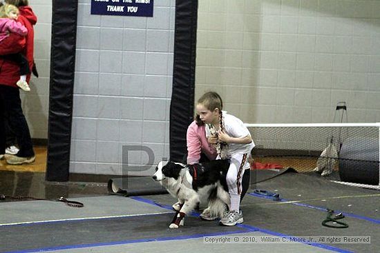 MCRD Unplugged Flyball Tournement<br />March 21st, 2010