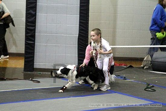 MCRD Unplugged Flyball Tournement<br />March 21st, 2010