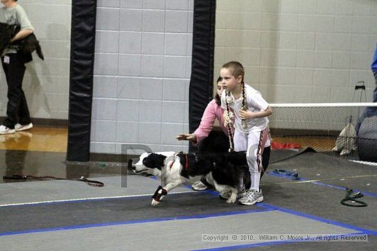 MCRD Unplugged Flyball Tournement<br />March 21st, 2010