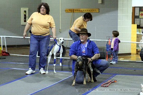 MCRD Unplugged Flyball Tournement<br />March 21st, 2010