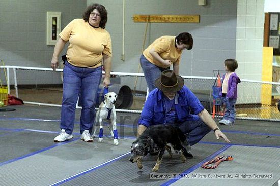 MCRD Unplugged Flyball Tournement<br />March 21st, 2010