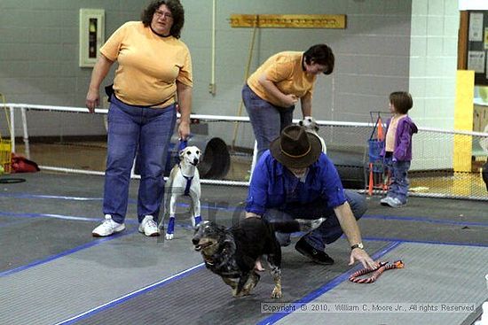 MCRD Unplugged Flyball Tournement<br />March 21st, 2010