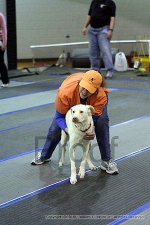 MCRD Unplugged Flyball Tournement<br />March 21st, 2010