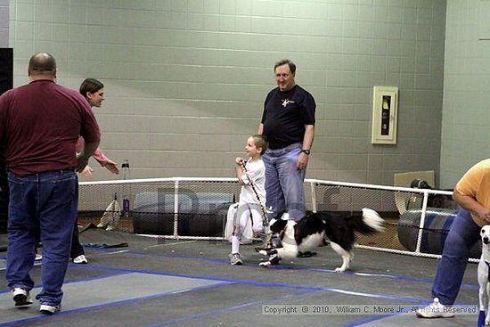 MCRD Unplugged Flyball Tournement<br />March 21st, 2010