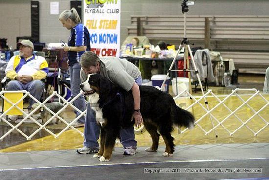 MCRD Unplugged Flyball Tournement<br />March 21st, 2010