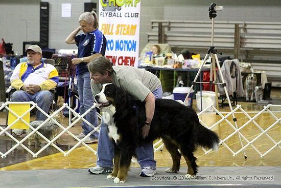 MCRD Unplugged Flyball Tournement<br />March 21st, 2010