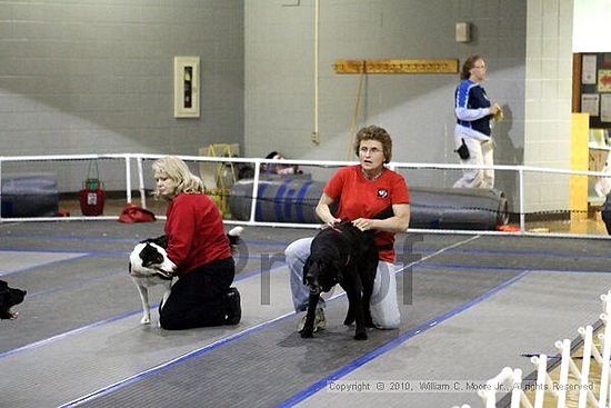 MCRD Unplugged Flyball Tournement<br />March 21st, 2010