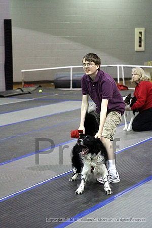 MCRD Unplugged Flyball Tournement<br />March 21st, 2010