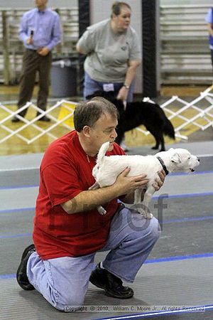 MCRD Unplugged Flyball Tournement<br />March 21st, 2010