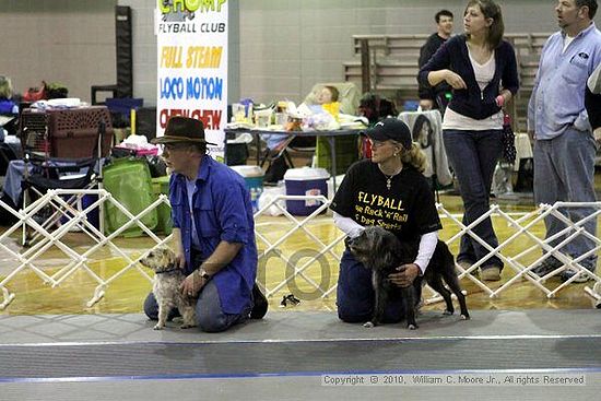 MCRD Unplugged Flyball Tournement<br />March 21st, 2010