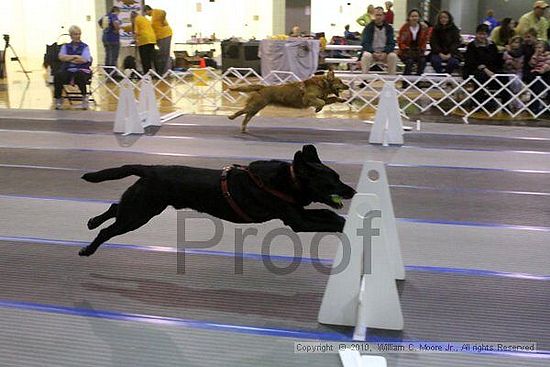 MCRD Unplugged Flyball Tournement<br />March 21st, 2010