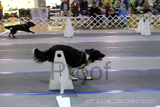 MCRD Unplugged Flyball Tournement<br />March 21st, 2010