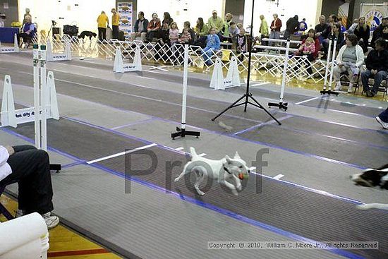 MCRD Unplugged Flyball Tournement<br />March 21st, 2010