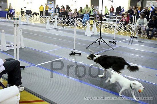 MCRD Unplugged Flyball Tournement<br />March 21st, 2010