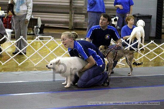 MCRD Unplugged Flyball Tournement<br />March 21st, 2010