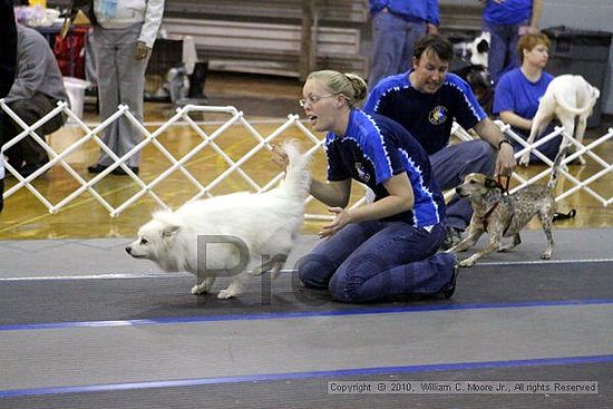 MCRD Unplugged Flyball Tournement<br />March 21st, 2010