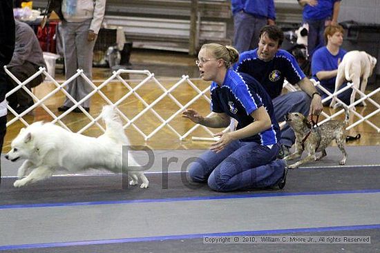 MCRD Unplugged Flyball Tournement<br />March 21st, 2010