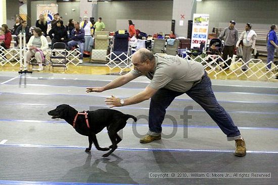 MCRD Unplugged Flyball Tournement<br />March 21st, 2010