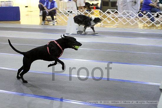 MCRD Unplugged Flyball Tournement<br />March 21st, 2010