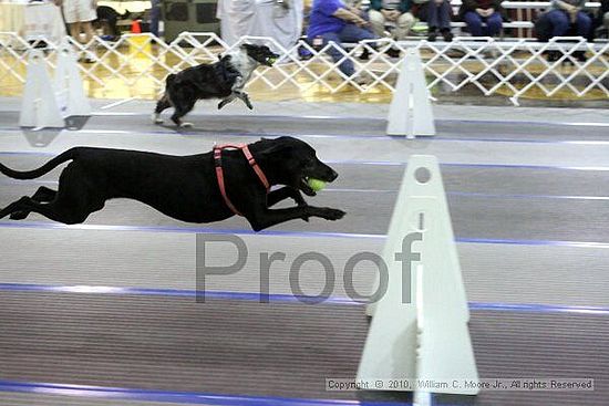 MCRD Unplugged Flyball Tournement<br />March 21st, 2010