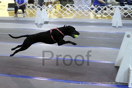 MCRD Unplugged Flyball Tournement<br />March 21st, 2010