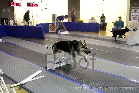 MCRD Unplugged Flyball Tournement<br />March 21st, 2010