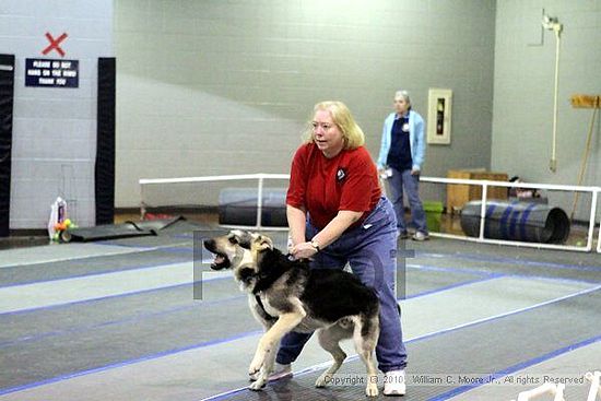 MCRD Unplugged Flyball Tournement<br />March 21st, 2010