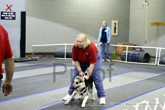 MCRD Unplugged Flyball Tournement<br />March 21st, 2010