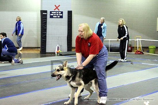 MCRD Unplugged Flyball Tournement<br />March 21st, 2010