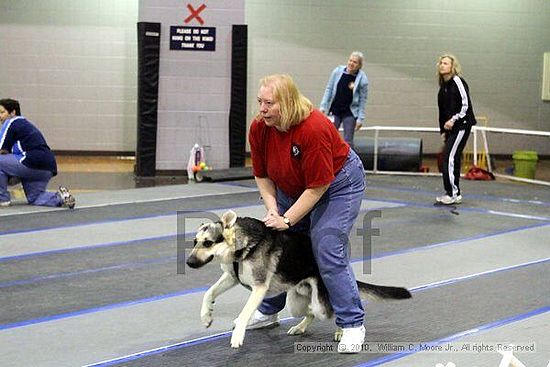 MCRD Unplugged Flyball Tournement<br />March 21st, 2010