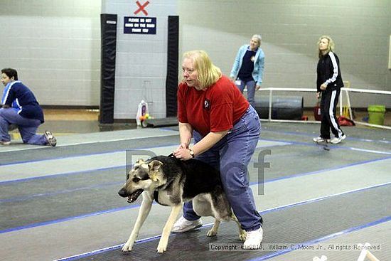 MCRD Unplugged Flyball Tournement<br />March 21st, 2010