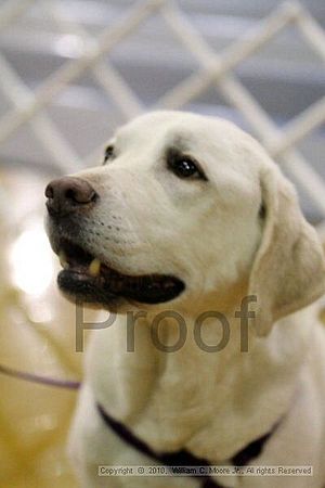 MCRD Unplugged Flyball Tournement<br />March 21st, 2010