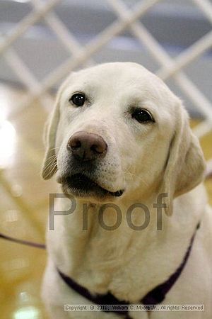 MCRD Unplugged Flyball Tournement<br />March 21st, 2010