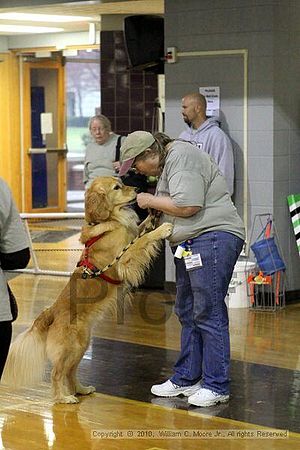 MCRD Unplugged Flyball Tournement<br />March 21st, 2010