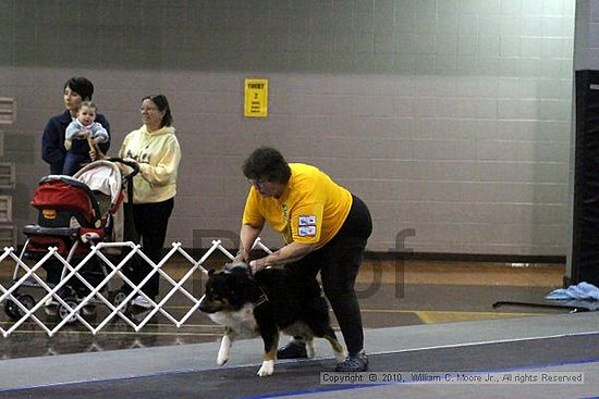 MCRD Unplugged Flyball Tournement<br />March 21st, 2010